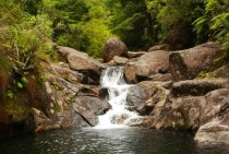 A minor stream in New Zealand 