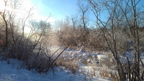 A misty creek Feb 