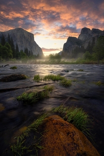 A misty morning along the valley floor in Yosemite California OC  ross_schram
