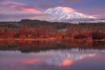 A mixture of fall and winter during sunrise over Mt Adams Washington 