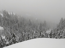 A moody Pacific Northwest snowstorm in the mountains near Vancouver BC 