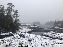 A moody snow day on the Ocean Vancouver Island BC 