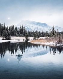 A moody winter morning in Banff AB Canada 