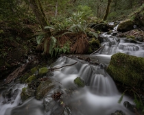 A mountain stream flowing into Hellgate Canyon OR 