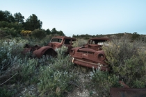 A pair of rusty abandoned classic cars in France