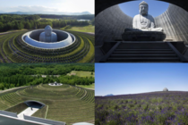 A partially hidden Buddha surrounded by a hill of lavenders in Japan