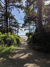 A path one of the most beautiful parts of the journey Tofino British Columbia OC  x 