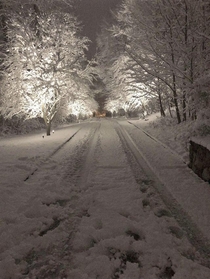 A photo I took of my driveway in winter
