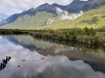 A pic from somewhere near Milford Sound New Zealand  