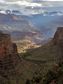 A picture I took on my honeymoon last week Bright Angel Trail Grand Canyon 