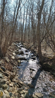 A picture of a small stream near the Hainesville Fish and Wildlife Management area in Montague NJ in earlier this week 