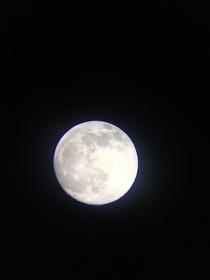 A picture of the snow moon from my telescope