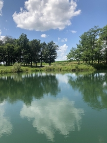 A pond in southern Illinois 