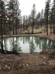 A pond on my ranch in Lake County CA Seeversranchcom 