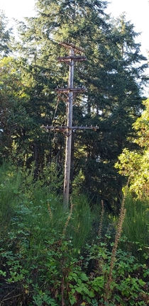 A power line poll for neighborhood that no longer exist