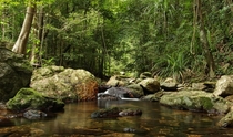 A rainforest stream in northern Australia 