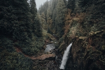 A rainy day at Drift Creek Falls Oregon 