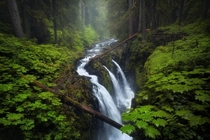 A rainy day at Sol Duc Falls in the Olympic National Park  IG Jayklassy