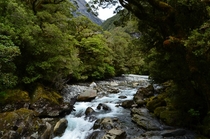 A river in Wanaka New Zealand 