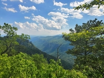 A sea of greens and blue Marion NC Mountains to Sea Trail OC  x 
