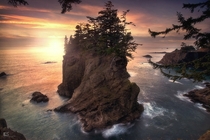 A sea stack on the shores of Southern Oregon  photo by Leif Erik Smith