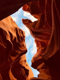A seahorse in the canyon Lower Antelope Canyon- Page AZ  OC