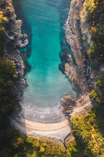 A secret beach New Zealand  IG joey_argus