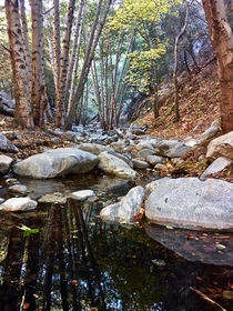 A shady little creek on a hot summers day in the San Gabriel Mountains  x  