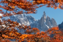 A shot from the hike up to the base camp through the autumnal coloured forest below Cerro Torre Mountain South America By Shaun Young 