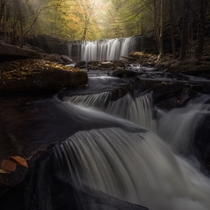 A shot of Ricketts Glen Falls in Pennsylvania 