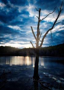 A small lake in the Catskills NY 