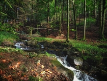 A small stream in the northern Black Forest  