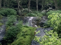 A small waterfall off the Blue Ridge Parkway  x