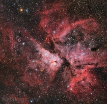 A snapshot of The Carina Nebula one of the brightest and largest nebulae in the sky taken from my backyard 