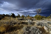 A snow storm approaches the Mojave Desert OC 