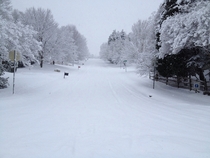 A Snowy Road 