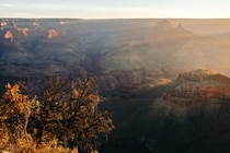 A soft sunrise over the Grand Canyon AZ  mj_brwn