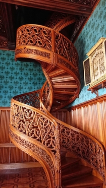 A spiral staircase carved from one a tree from  a library at Lednice castle Czech republic