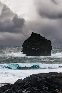A stormy day in Iceland  at the ocean  Insta glacionaut