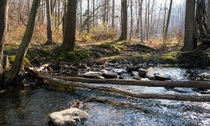 A stream in Maryland USA 