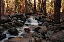 A stream in Yosemite NP