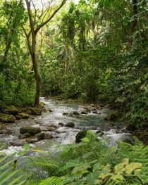 A streamline from the famous Kawasan Falls in BadianCebu 