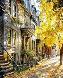 A street in Montreal during fall Quebec Canada