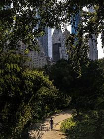 A stroll in Central Park 