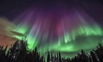 A stunning image of the Aurora Borealis over North Pole Alaska by photographer Jonathan Newman