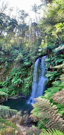 A summer day at Beauchamp Falls Conservation Reserve Australia   x 