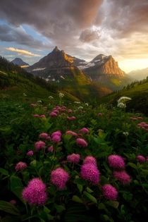 A summer evening in Glacier National Park Montana x