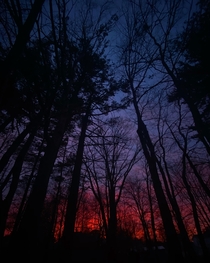A sunset picture I took in the woods Nova Scotia Canada 