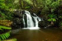A temperate rainforest waterfall in Tasmania Australia 