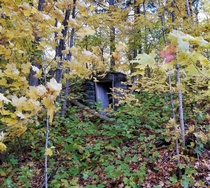 A utility shed buried in the Upper Peninsula woods